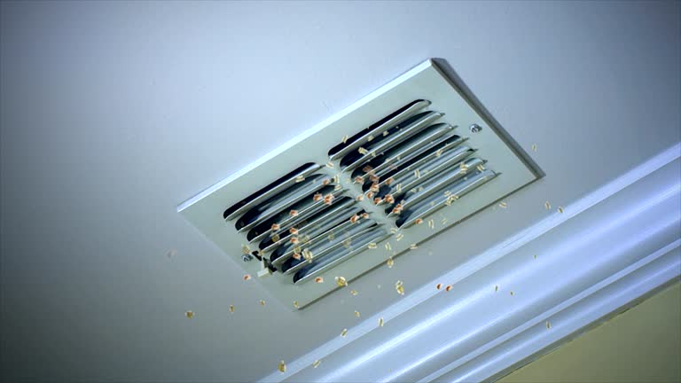 Best Professional Duct Cleaning Services  in Norman, OK